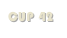 CUP 42
